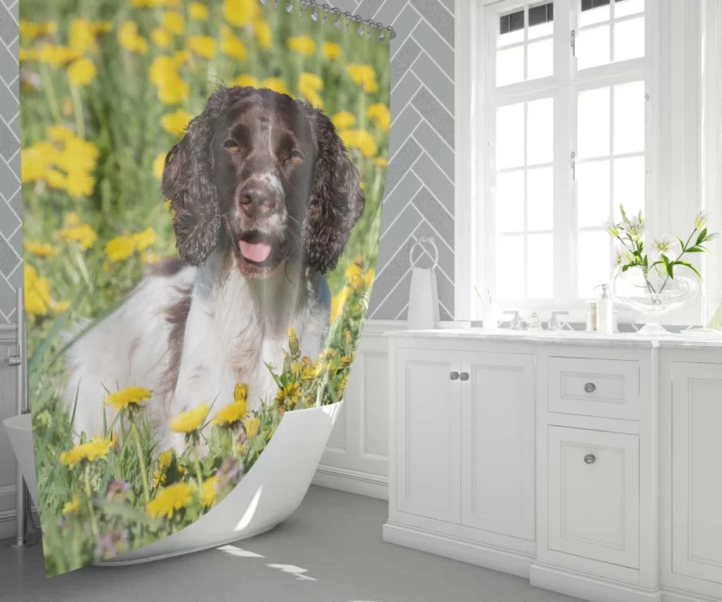 English Springer Spaniel Yellow Adventure Shower Curtain 1