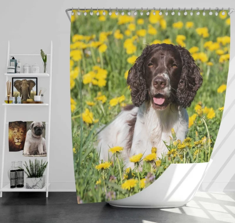 English Springer Spaniel Yellow Adventure Shower Curtain