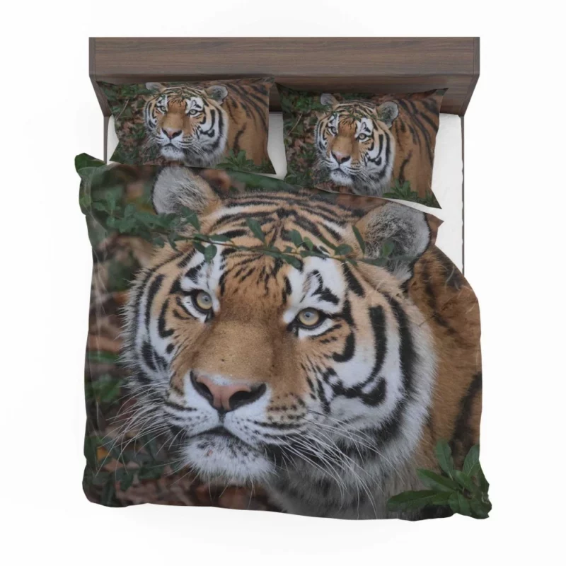 Enigmatic Aura Tiger Bedding Set 1