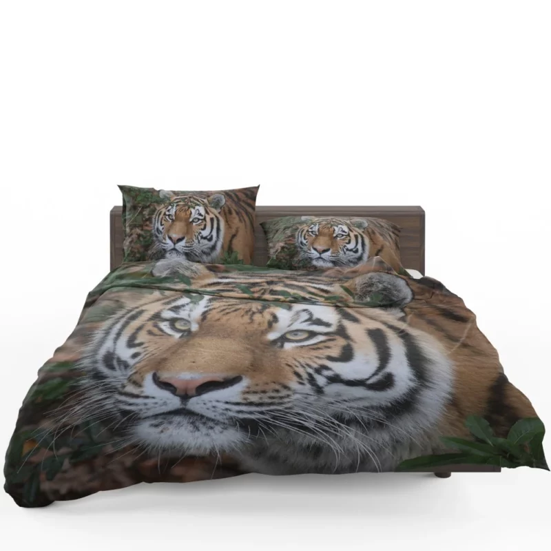 Enigmatic Aura Tiger Bedding Set