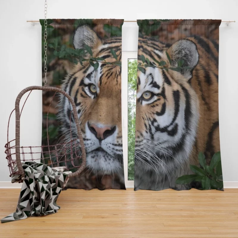 Enigmatic Aura Tiger Curtain