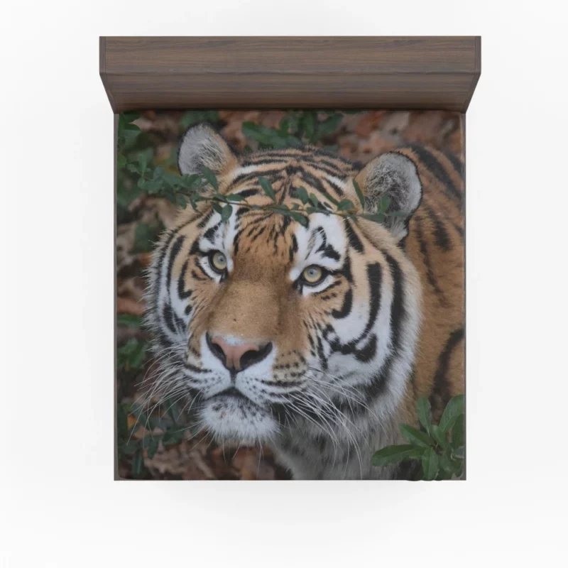 Enigmatic Aura Tiger Fitted Sheet 1