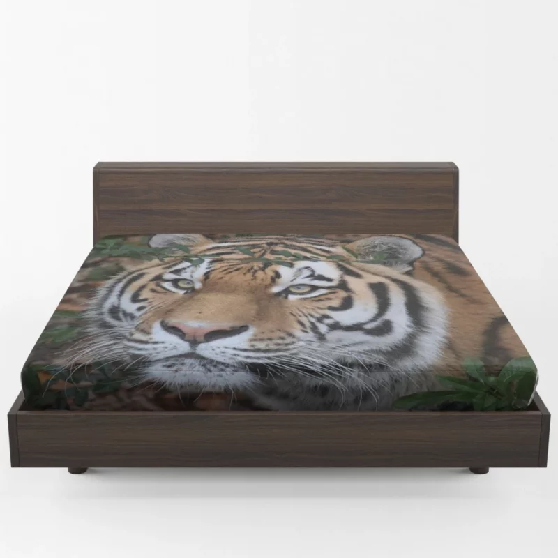 Enigmatic Aura Tiger Fitted Sheet