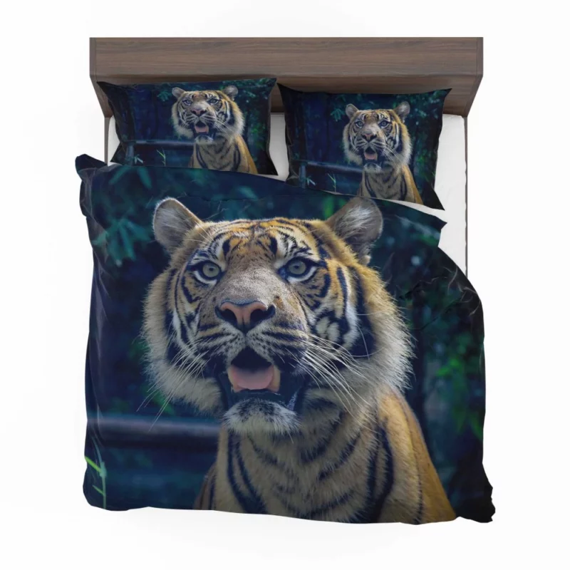 Enigmatic Aura Tiger Majesty Bedding Set 1