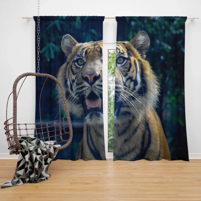 Enigmatic Aura Tiger Majesty Curtain