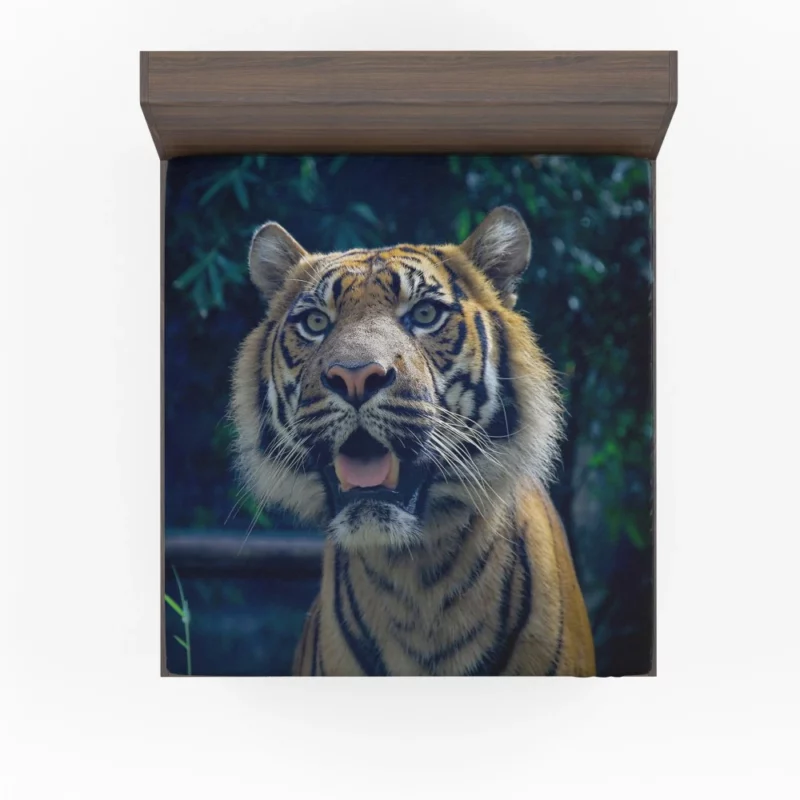 Enigmatic Aura Tiger Majesty Fitted Sheet 1