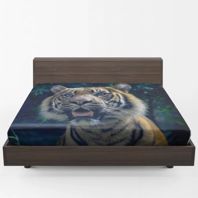 Enigmatic Aura Tiger Majesty Fitted Sheet