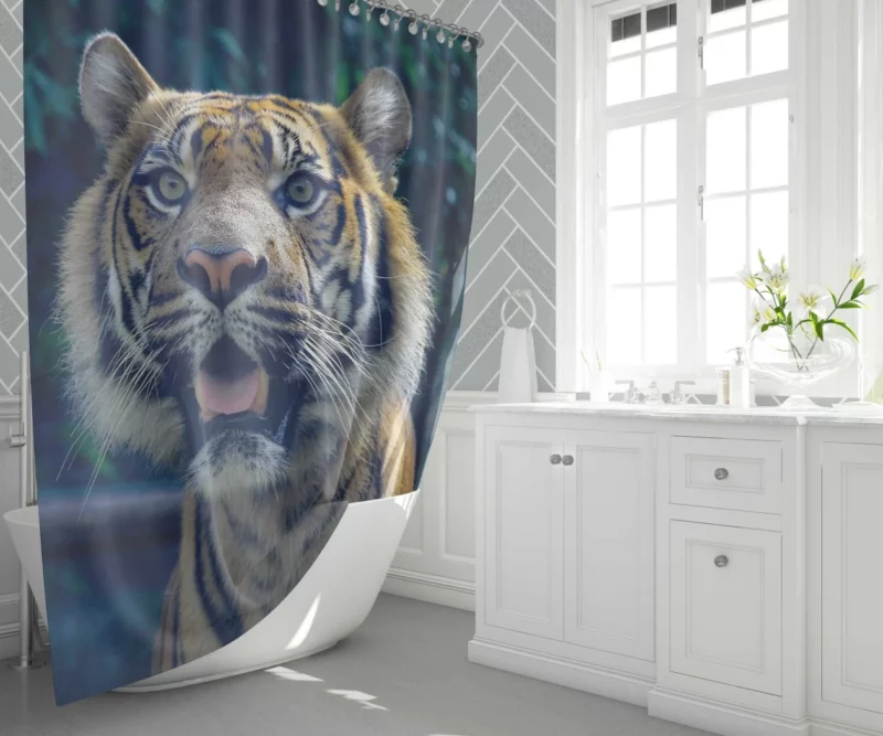 Enigmatic Aura Tiger Majesty Shower Curtain 1