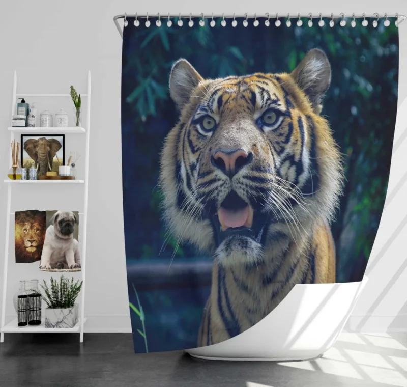 Enigmatic Aura Tiger Majesty Shower Curtain