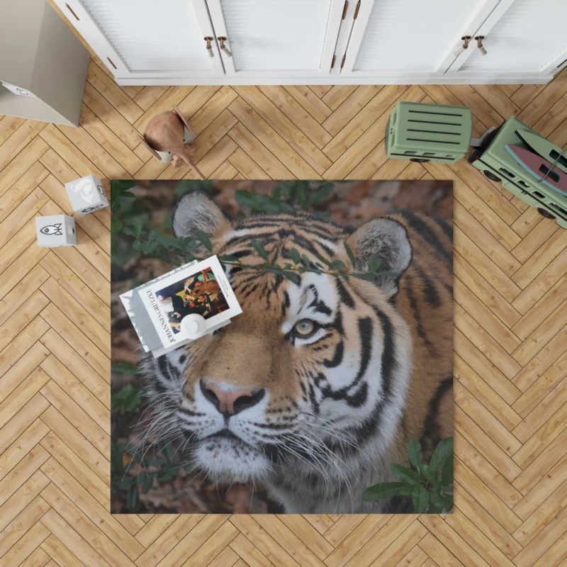 Enigmatic Aura Tiger Rug