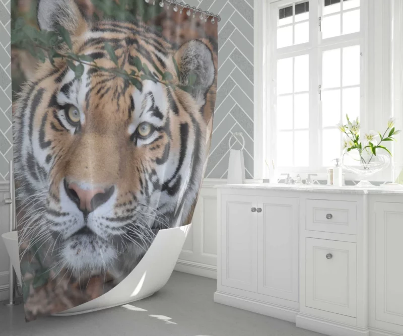 Enigmatic Aura Tiger Shower Curtain 1