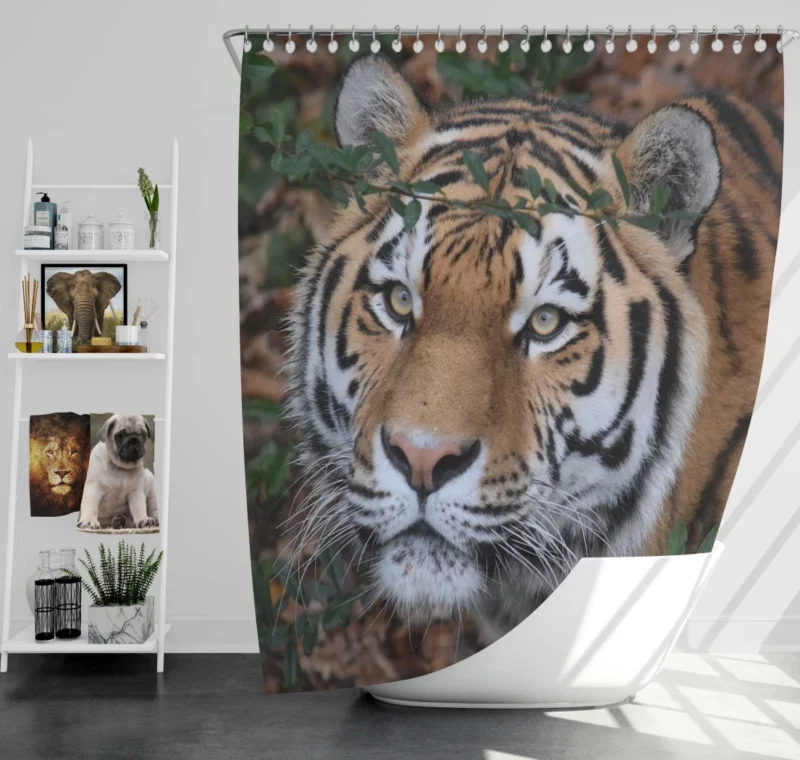 Enigmatic Aura Tiger Shower Curtain