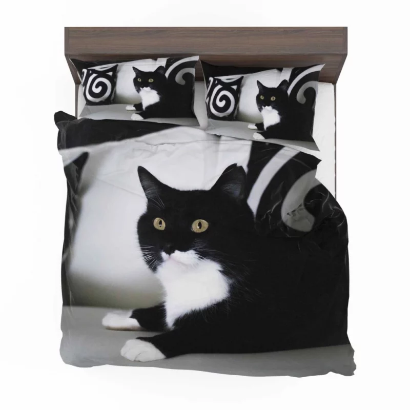 Enigmatic Cat Mystery Bedding Set 1