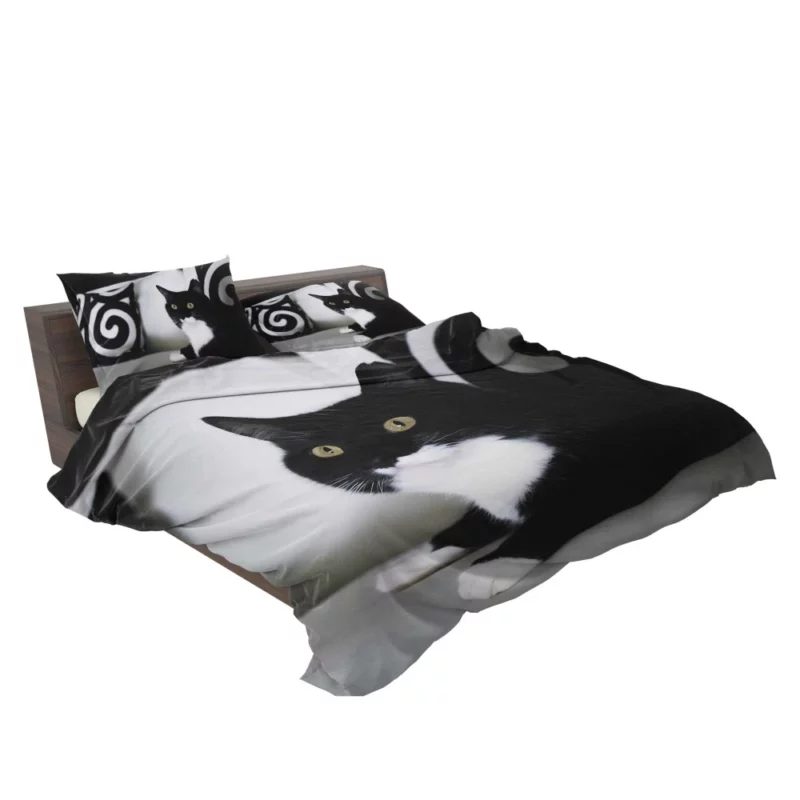 Enigmatic Cat Mystery Bedding Set 2