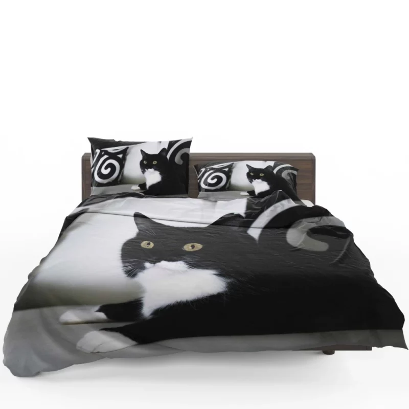 Enigmatic Cat Mystery Bedding Set