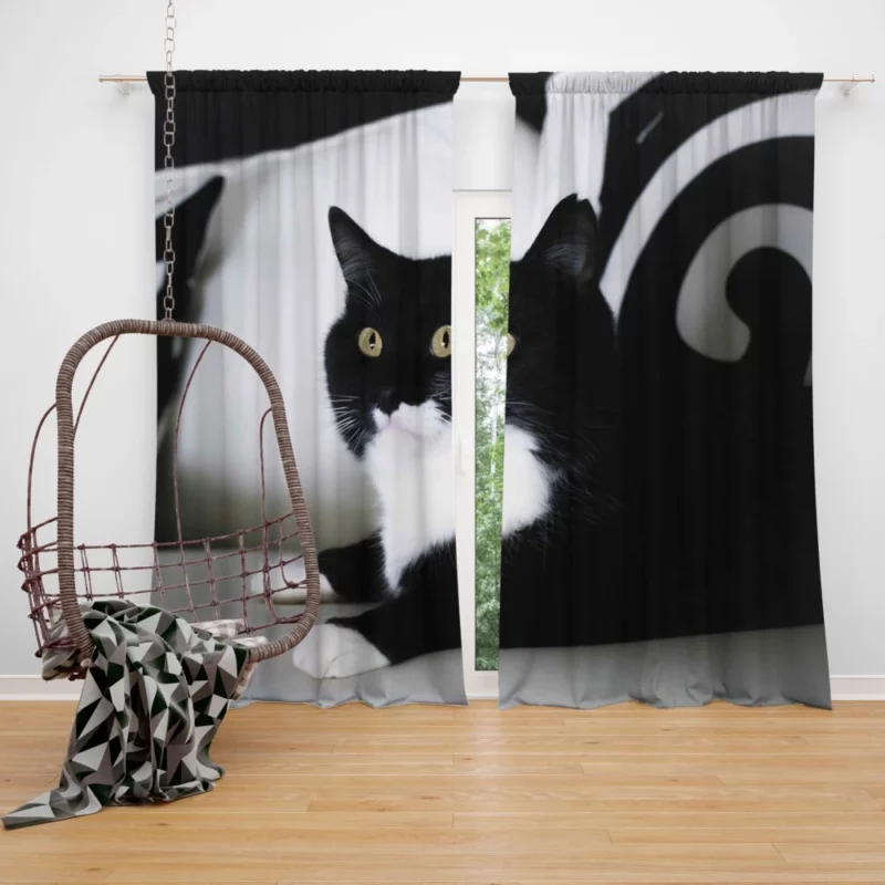 Enigmatic Cat Mystery Curtain