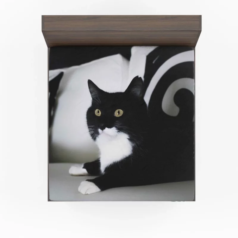 Enigmatic Cat Mystery Fitted Sheet 1