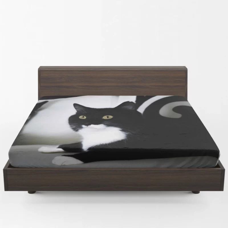 Enigmatic Cat Mystery Fitted Sheet