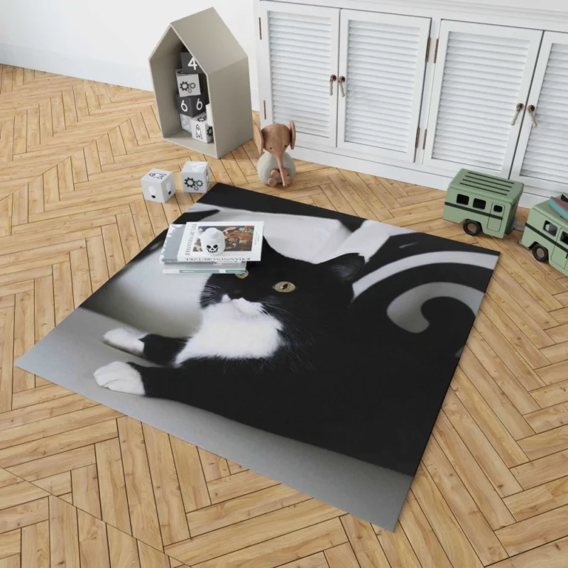 Enigmatic Cat Mystery Rug 1