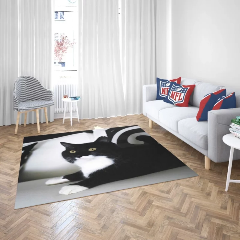 Enigmatic Cat Mystery Rug 2