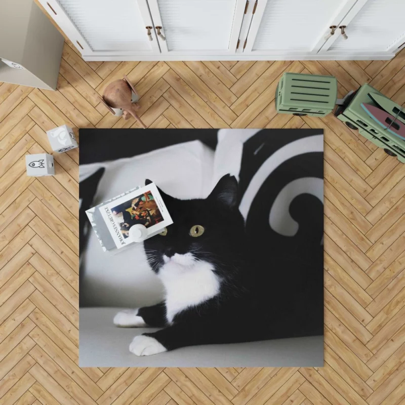 Enigmatic Cat Mystery Rug