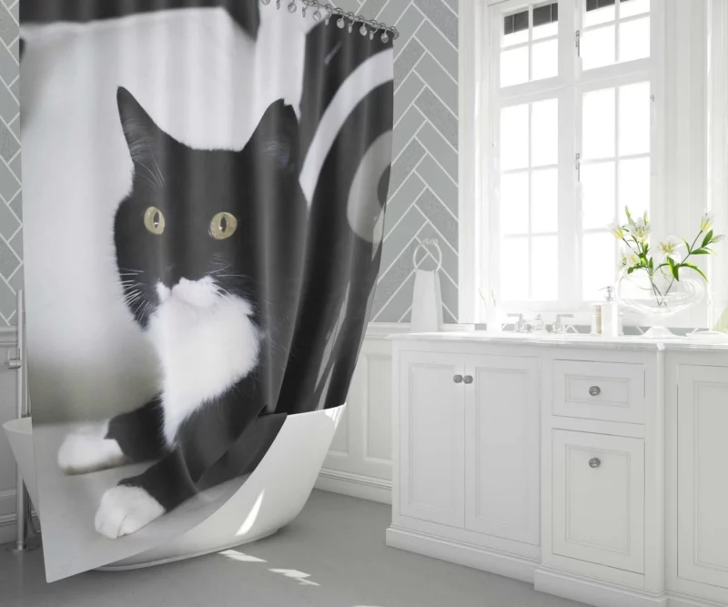 Enigmatic Cat Mystery Shower Curtain 1