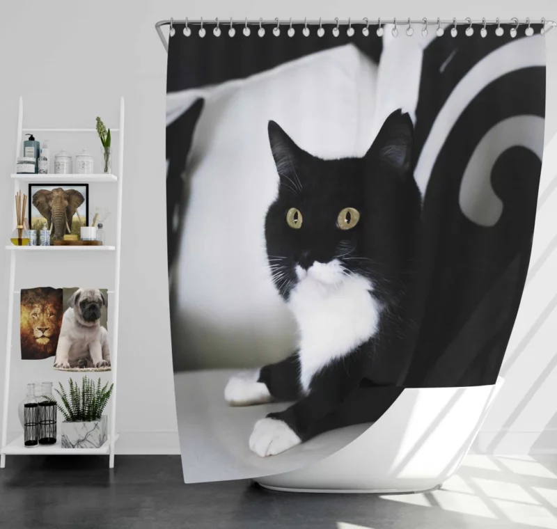 Enigmatic Cat Mystery Shower Curtain