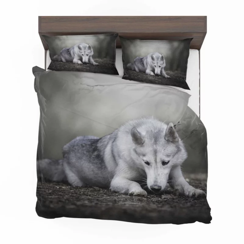 Enigmatic Charm Red Panda Bedding Set 1