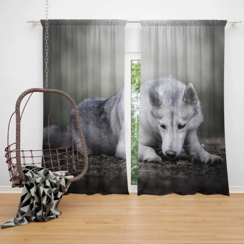 Enigmatic Charm Red Panda Curtain