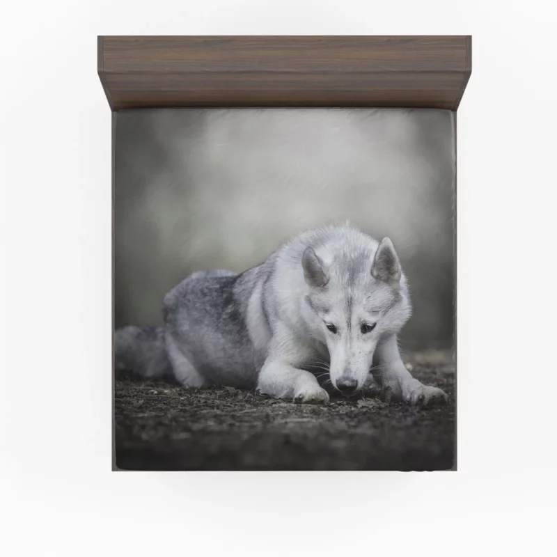 Enigmatic Charm Red Panda Fitted Sheet 1