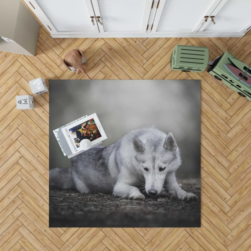 Enigmatic Charm Red Panda Rug