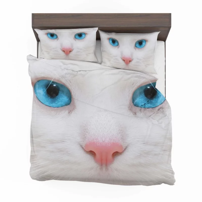 Enigmatic Feline Look Bedding Set 1