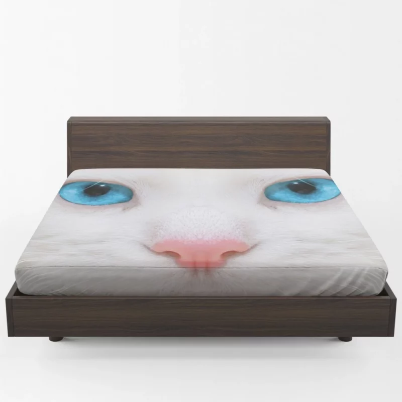 Enigmatic Feline Look Fitted Sheet