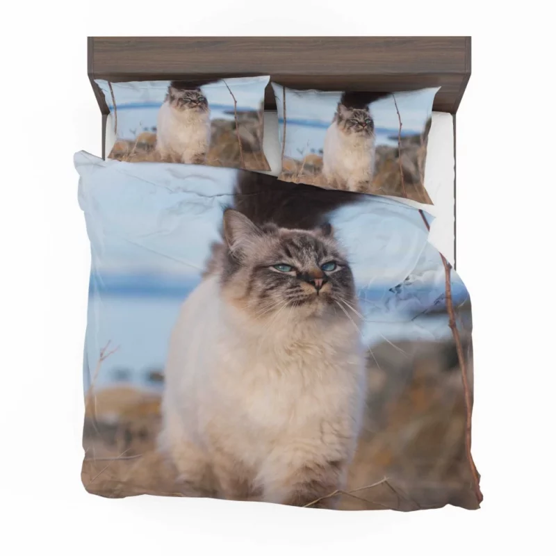 Enigmatic Gaze Cat Depth Bedding Set 1