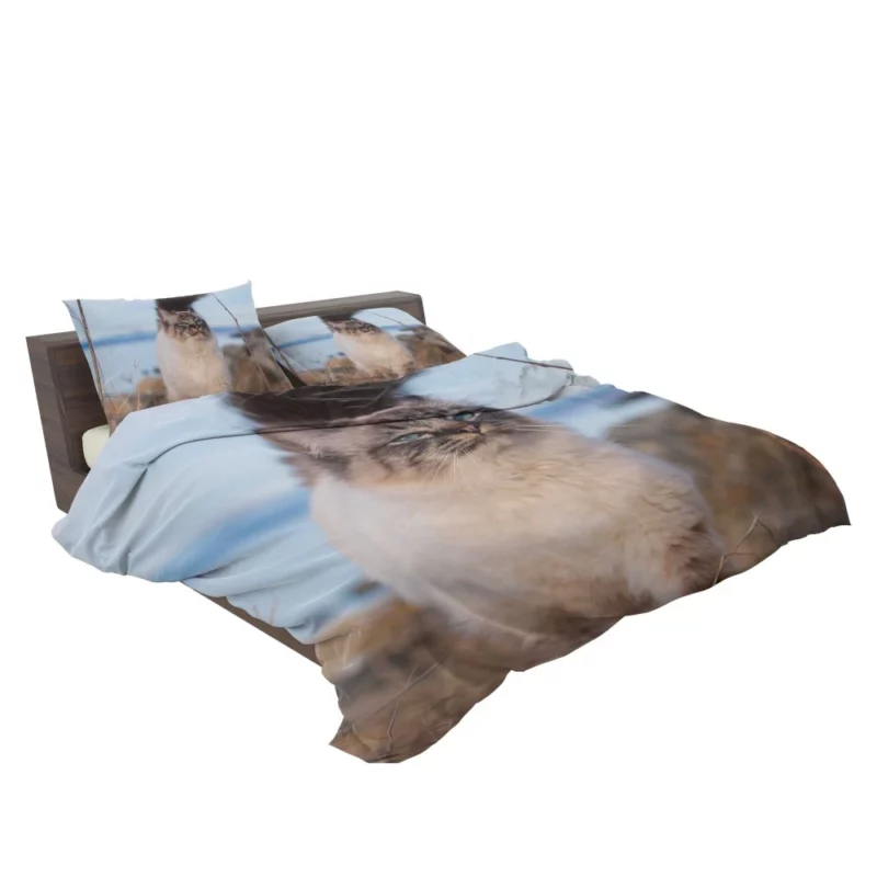 Enigmatic Gaze Cat Depth Bedding Set 2