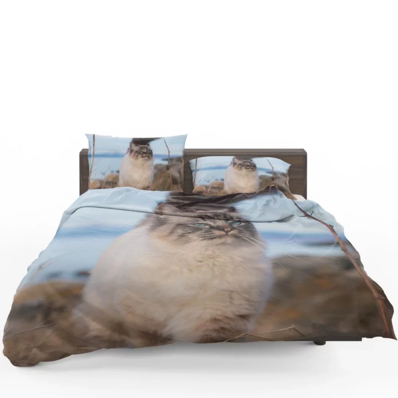 Enigmatic Gaze Cat Depth Bedding Set