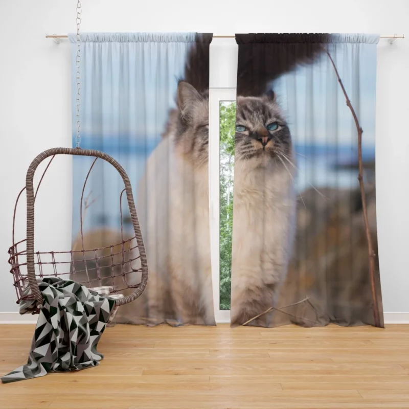 Enigmatic Gaze Cat Depth Curtain