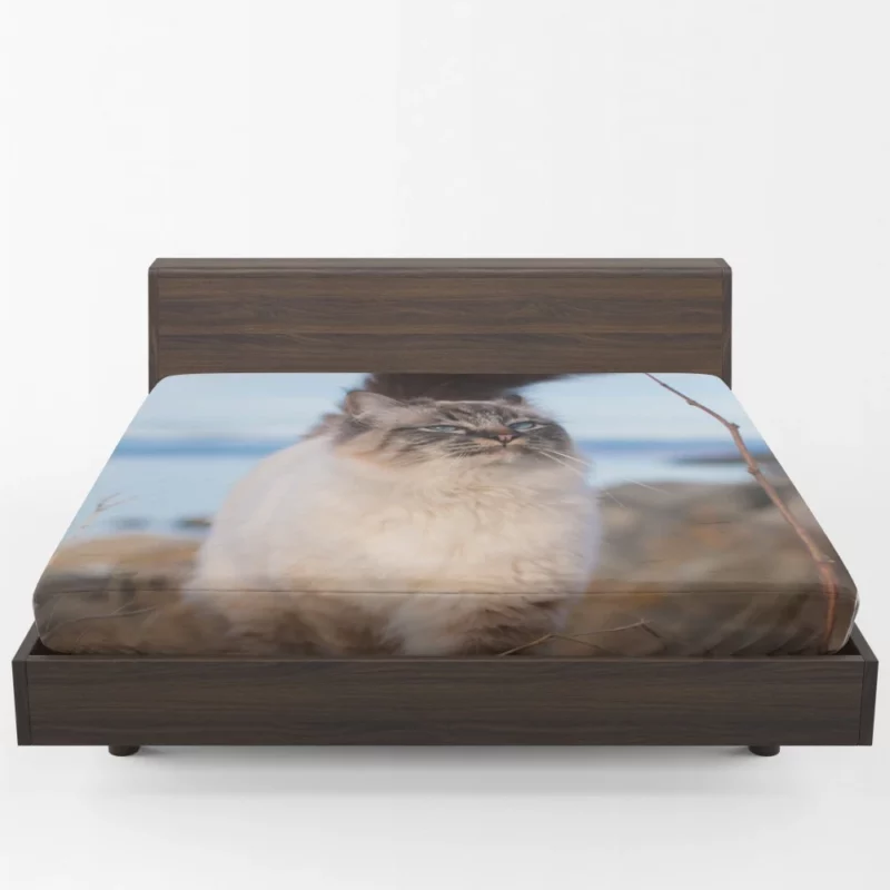 Enigmatic Gaze Cat Depth Fitted Sheet