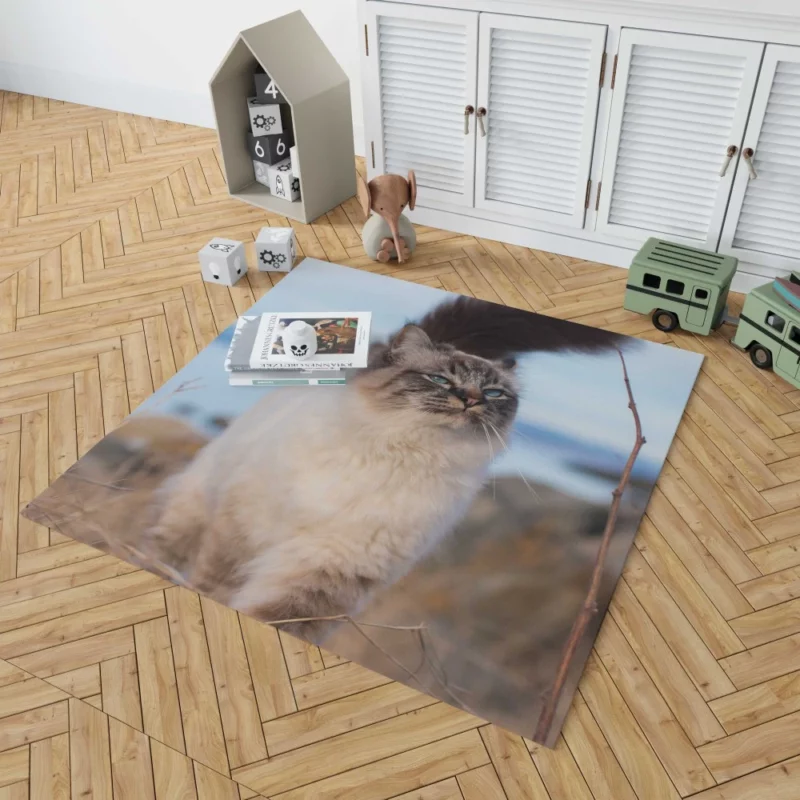 Enigmatic Gaze Cat Depth Rug 1