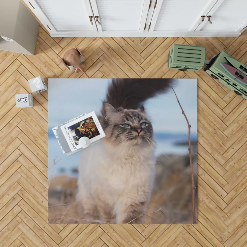 Enigmatic Gaze Cat Depth Rug