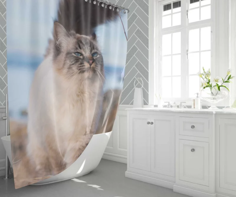 Enigmatic Gaze Cat Depth Shower Curtain 1