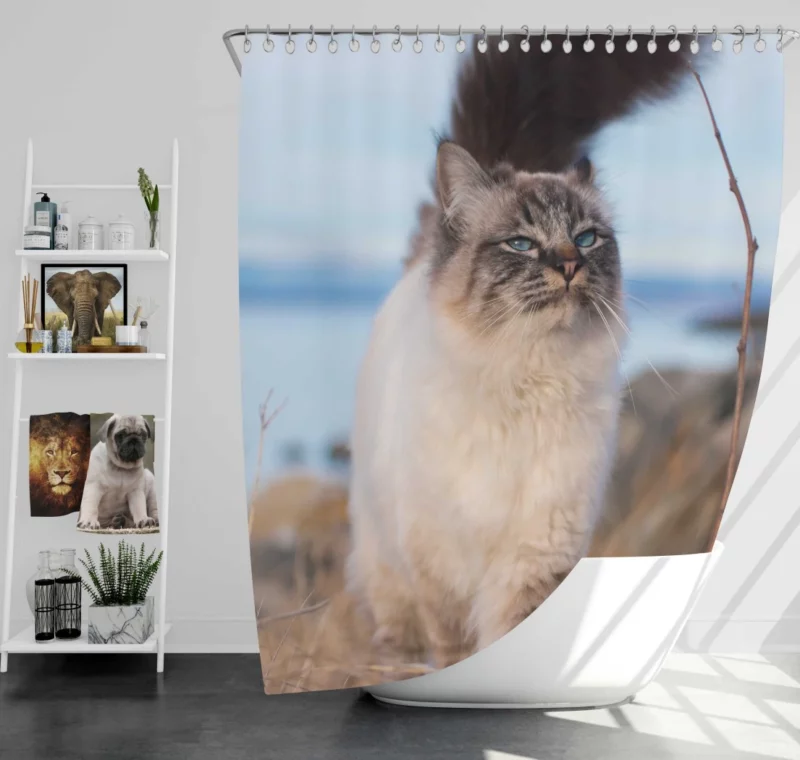 Enigmatic Gaze Cat Depth Shower Curtain