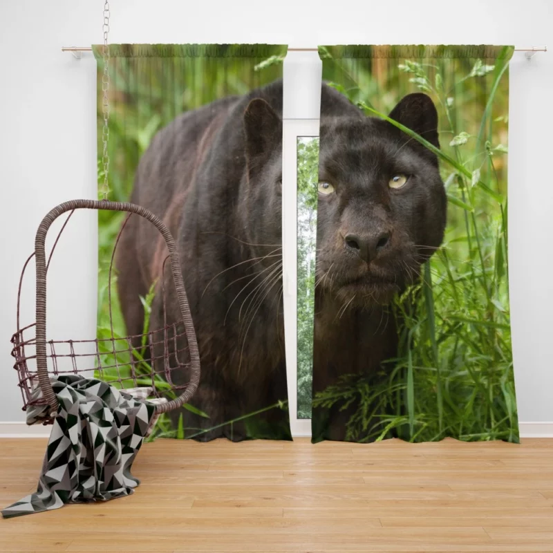 Enigmatic Panther Mystery in the Wild Curtain