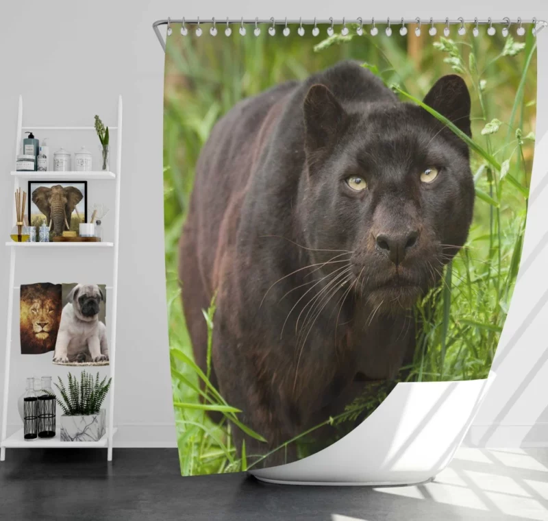 Enigmatic Panther Mystery in the Wild Shower Curtain