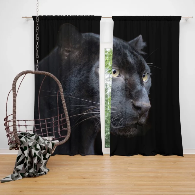 Enigmatic Panther Presence in the Wild Curtain