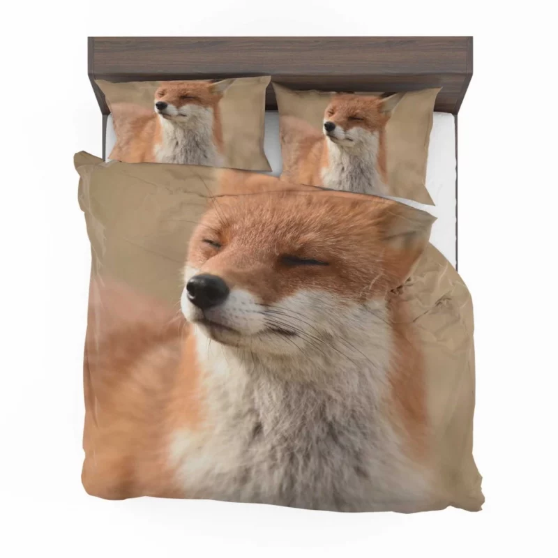 Enigmatic Stare Fox Charm Bedding Set 1