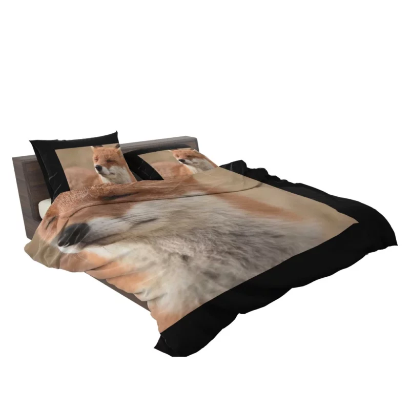 Enigmatic Stare Fox Charm Bedding Set 2