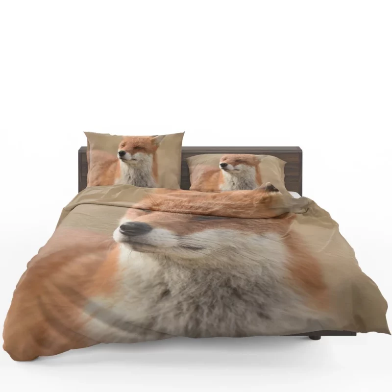 Enigmatic Stare Fox Charm Bedding Set