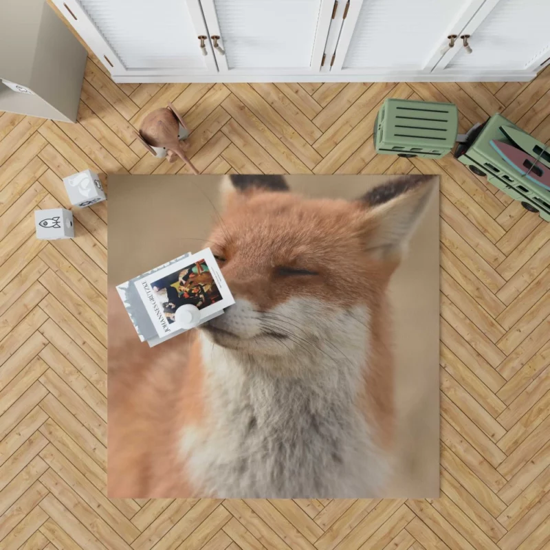 Enigmatic Stare Fox Charm Rug