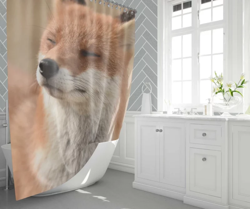 Enigmatic Stare Fox Charm Shower Curtain 1